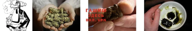 мяу мяу мука Зеленодольск