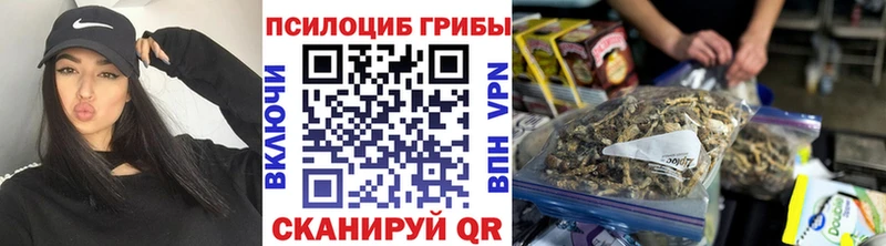 Псилоцибиновые грибы мухоморы  Купить  Лаишево 